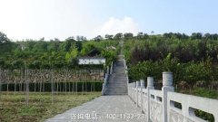 河南郑州市新密市凤凰山公墓位置在哪里、联系电话和墓地价格风水环境