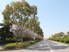 天津滨海新区万寿园公墓联系电话、陵墓