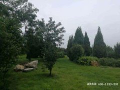 河南延津县通太公墓位置在哪里、联系电