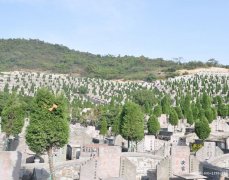 宁波市五乡永久墓地风水怎么样、位置在哪里、电话和鄞州区价格是多少