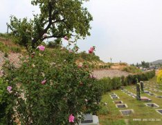 银川市汉民花园公墓（万福陵园）汉民陵