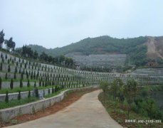 株洲仁孝园陵园-株洲市仁孝公墓-石峰区