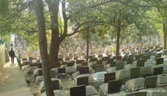 广东惠州市博罗县周边有什么陵园公墓？
