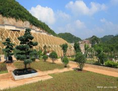 贵州六盘水市钟山经济开发区、水城县、