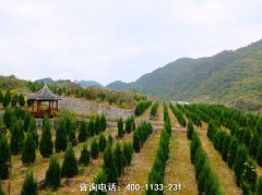 贵州贵阳白云山墓园墓地位置地址、联系电话和长顺县公墓价格多少钱