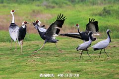 湖北武汉汉南区周边有几家陵园公墓？距离汉南区近的墓园墓地