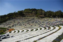 辽宁抚顺市新抚区、东洲区、望花区、顺城区有什么公墓陵园墓地？